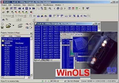 Winols-damos-vag-damos-original Winols-damos-vag-damos-original